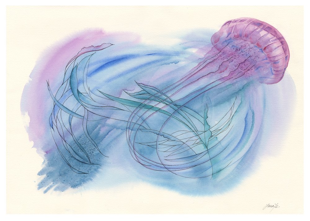 1000x712 Watercolor Laura Lee Hallada