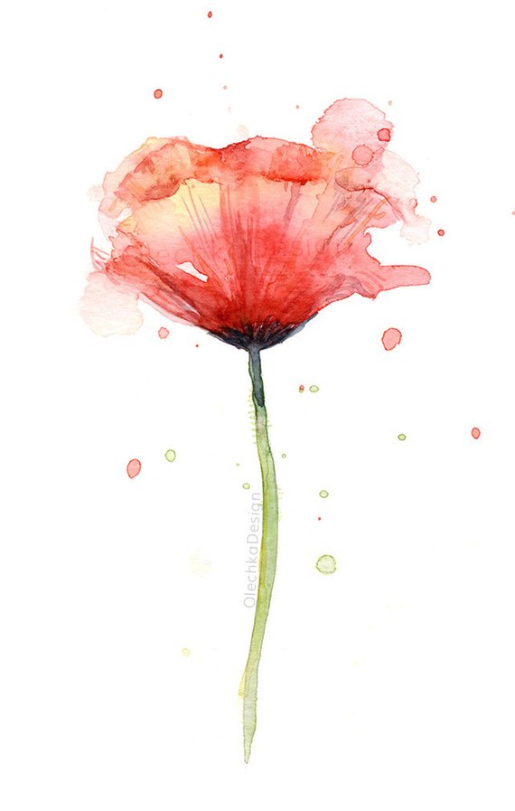 570x897 Red Poppy Watercolor Flower Art Print Poppies Poppy Wall Etsy