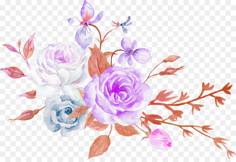 900x620 Rose Flower Aesthetics Floral Design