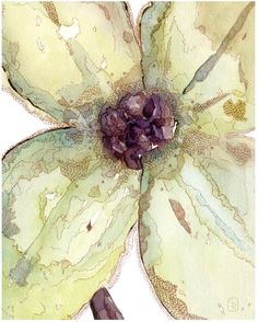 236x294 The 34 Best Artist ~ Stephanie Ryan Watercolor Flowers Images On