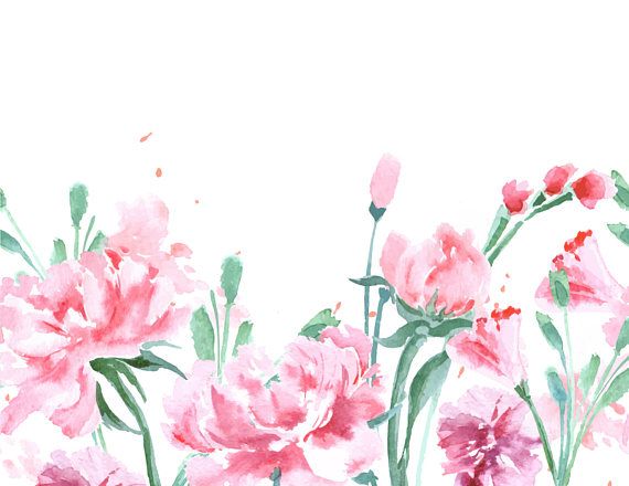 570x440 Pin By Emma Kay On Vectors Flower Backgrounds, Clip
