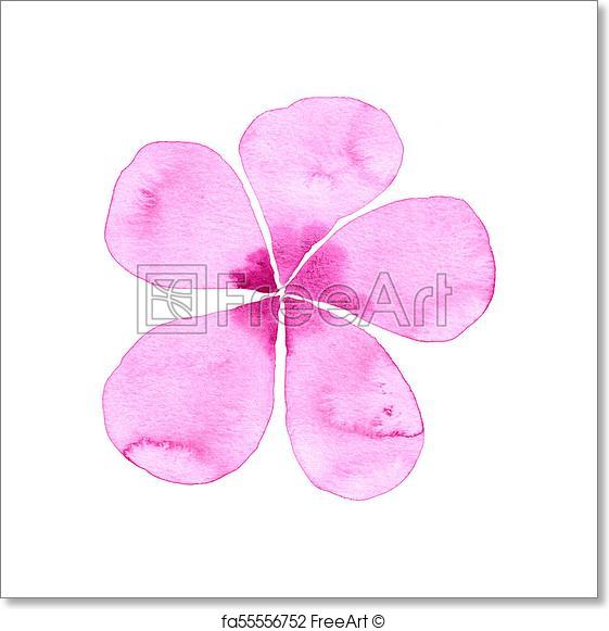 561x581 Free Art Print Of Simple Watercolor Flower. Simple Pink Watercolor