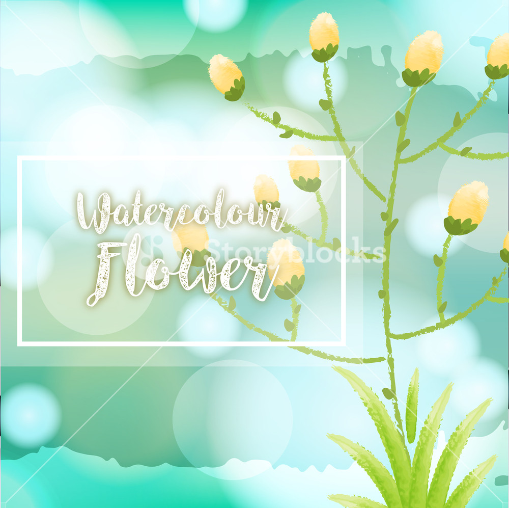 1000x997 Watercolor Flower Background With Yellow Flowers Royalty Free