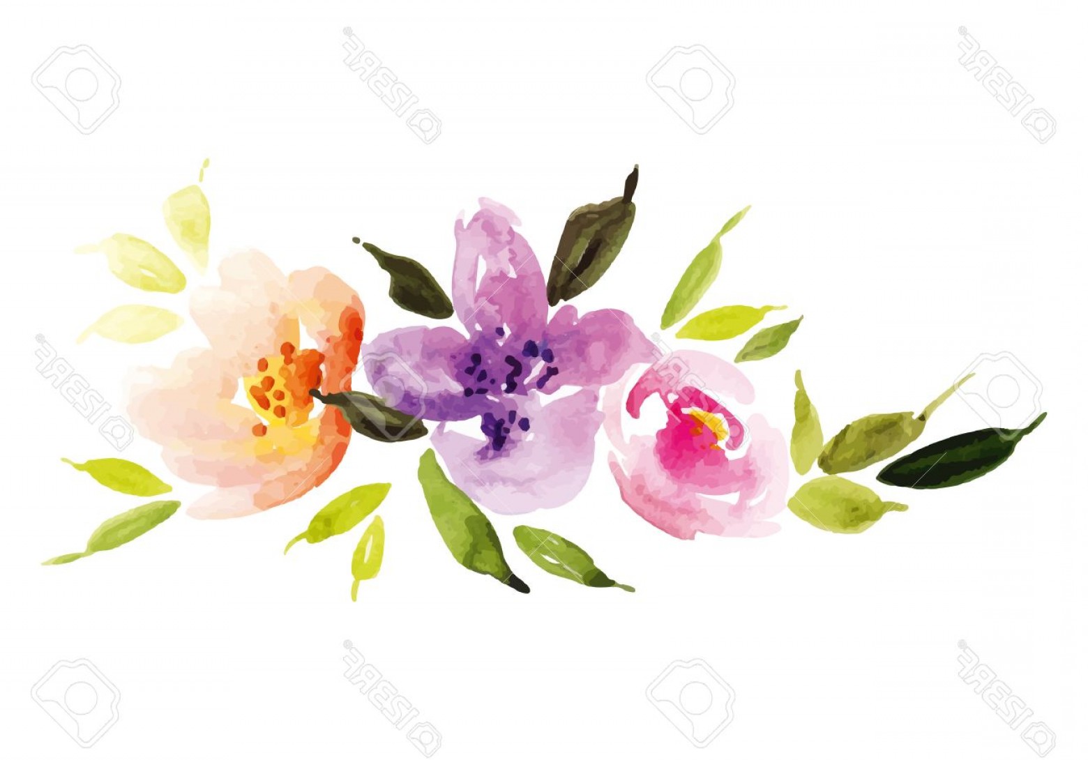 1560x1090 Pink Watercolor Flower Border Vector Shopatcloth