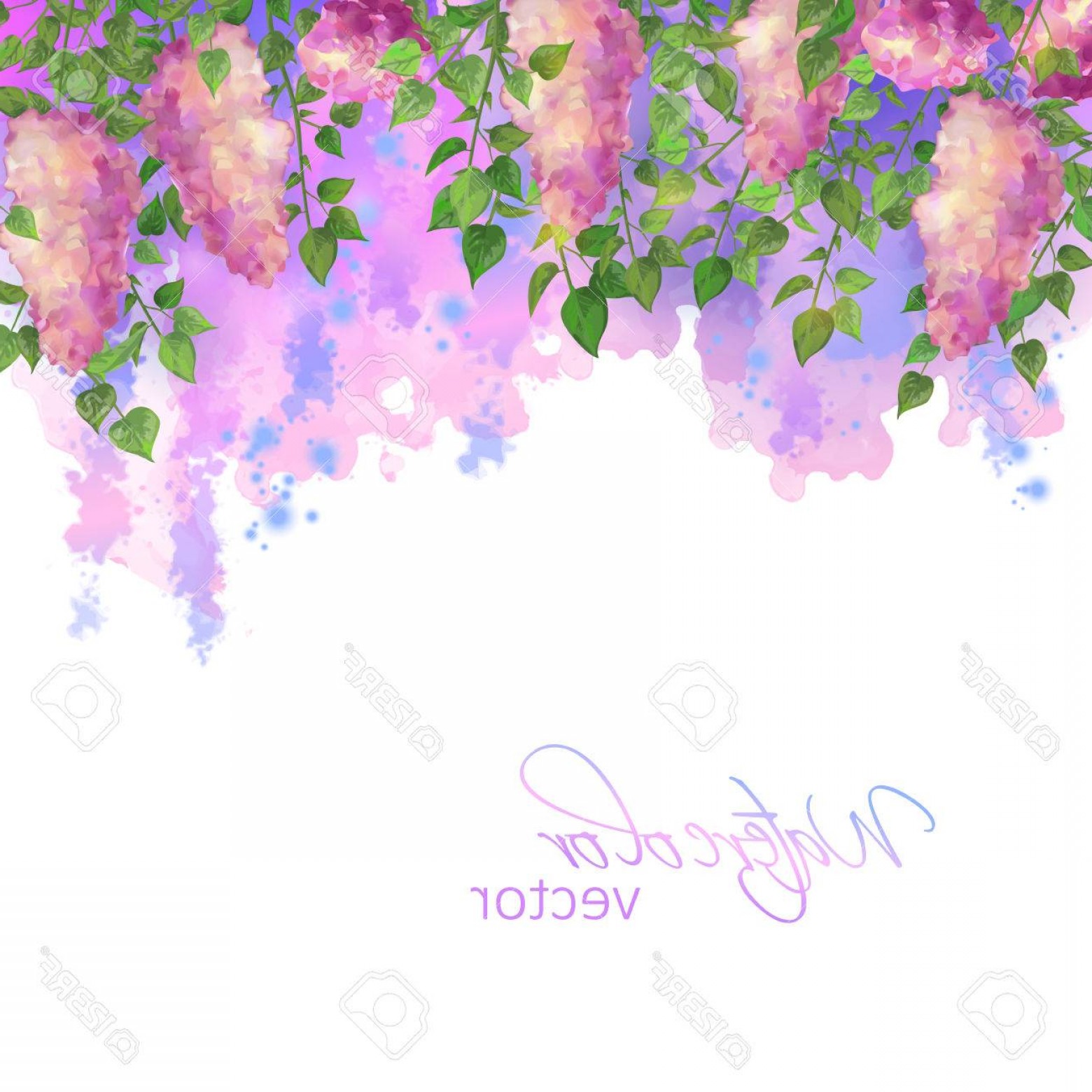 1560x1560 Watercolor Flower Border Vector Arenawp