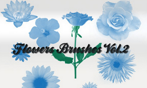 500x300 New Collection Of Free Floral Photoshop Brushes Naldz Graphics