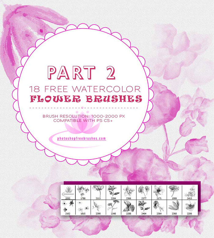 700x778 Watercolor Floral Ps Brushes Photoshop Free Brushes