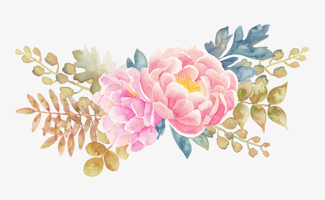 650x400 Peony Flower Watercolor Painted Floral Elements, Flower Clipart