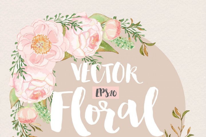 720x479 Vector Watercolor Rose Blush Clipart, Watercolor Flower, Pink