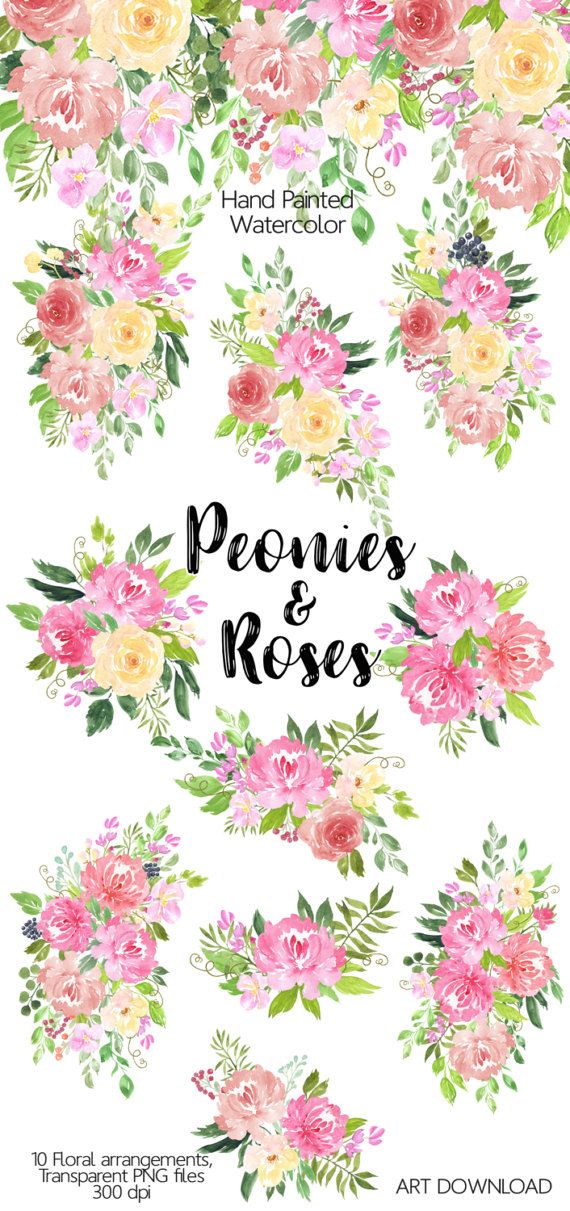 570x1211 Watercolor Flower Clipart
