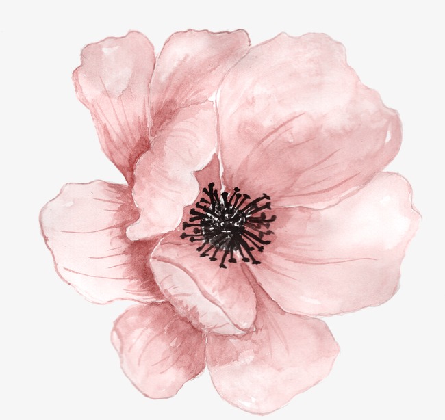 650x614 Watercolor Flower Png Images Vectors And Psd Files Free