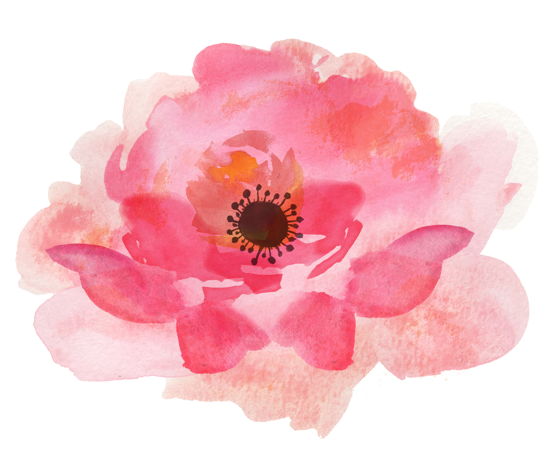 1848x1548 Watercolor Flowers Png Free