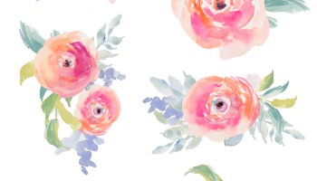 350x200 Watercolor Flower Stock No Background