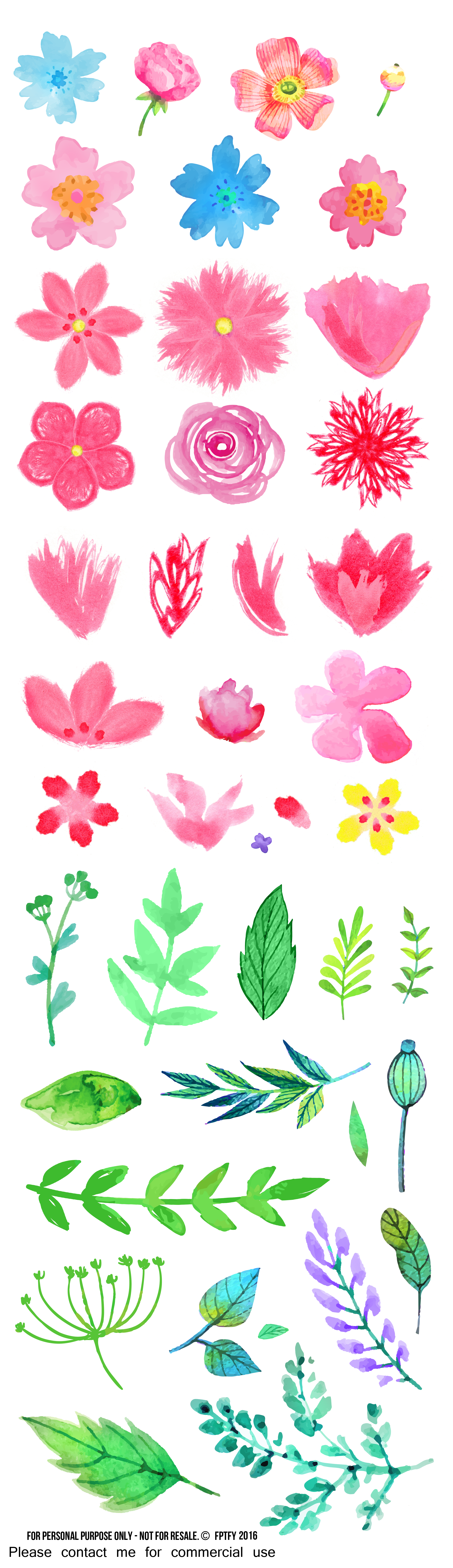 2400x8304 Free Watercolor Flower Clipart