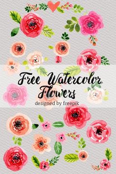 236x353 212 Best Graphic Freebies Images Free Watercolor