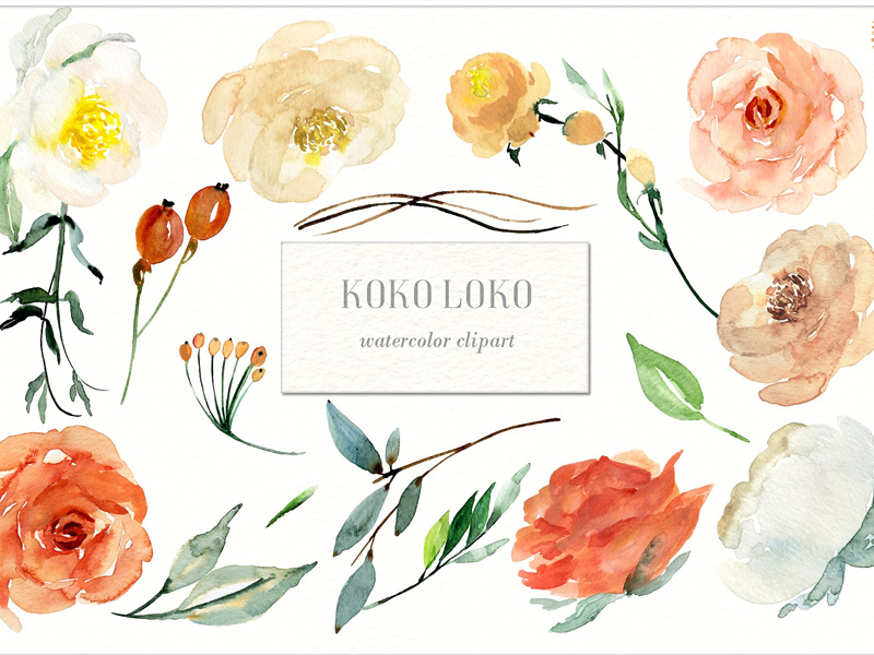 800x600 Koko Loko. Watercolor Floral Clipart