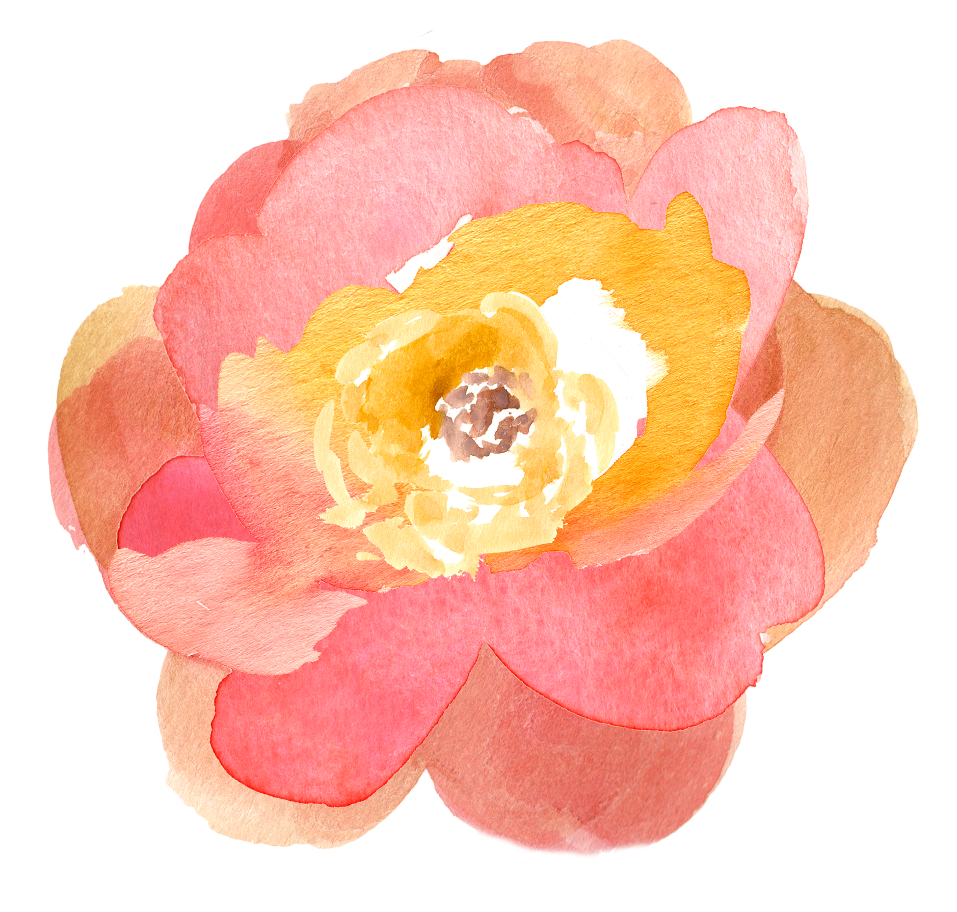 1878x1791 Collection Of Watercolor Flower Clipart Free High Quality