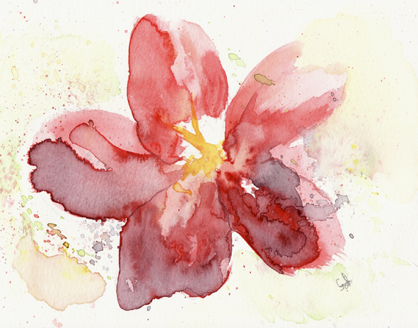 591x464 Watercolor Flower By Galiet Design