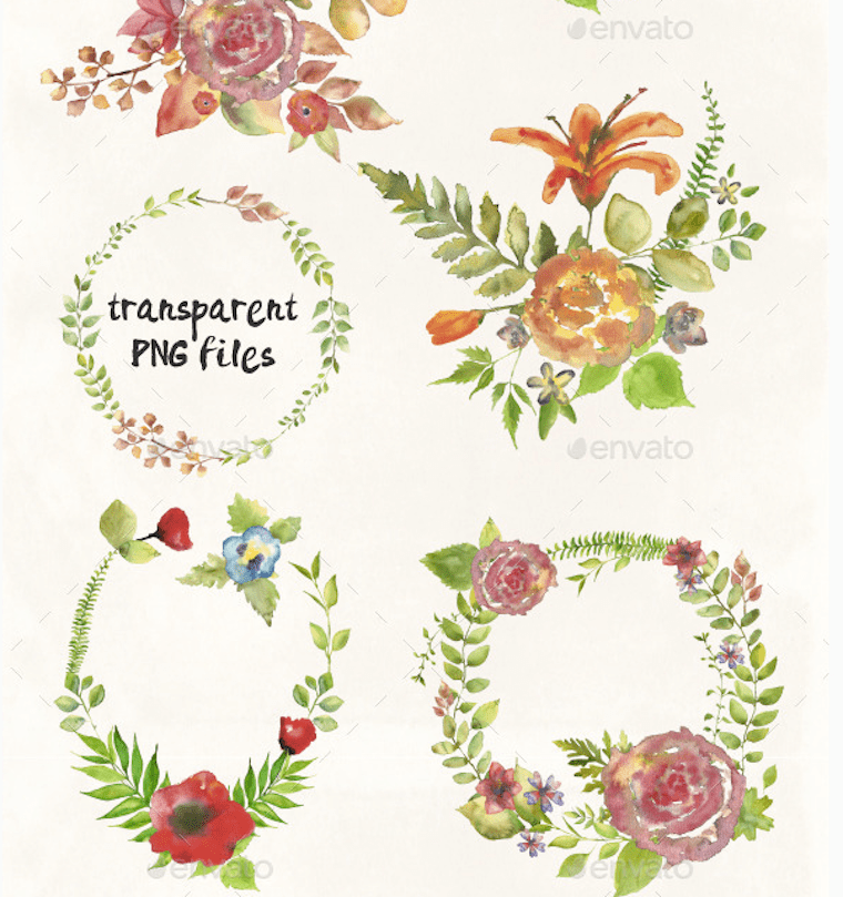 760x809 Watercolor Illustrations Succulents, Stars, Feathers, Flowers
