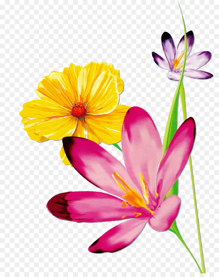 900x1140 Download Butterfly Flower Floral Design Watercolor Flowers Floral