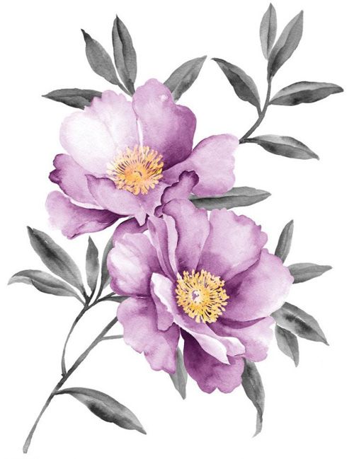 500x649 Purple Peony Watercolor Vector Beautiful In 2018