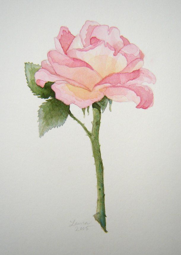 610x860 Related Image Blooms Flower Watercolor, Watercolor