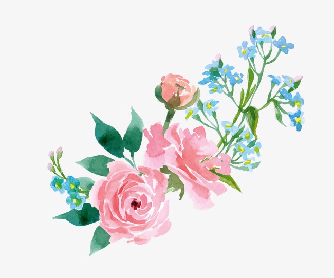 650x541 Watercolor Flowers, Watercolor Clipart, Drawing Plant, Flowers Png