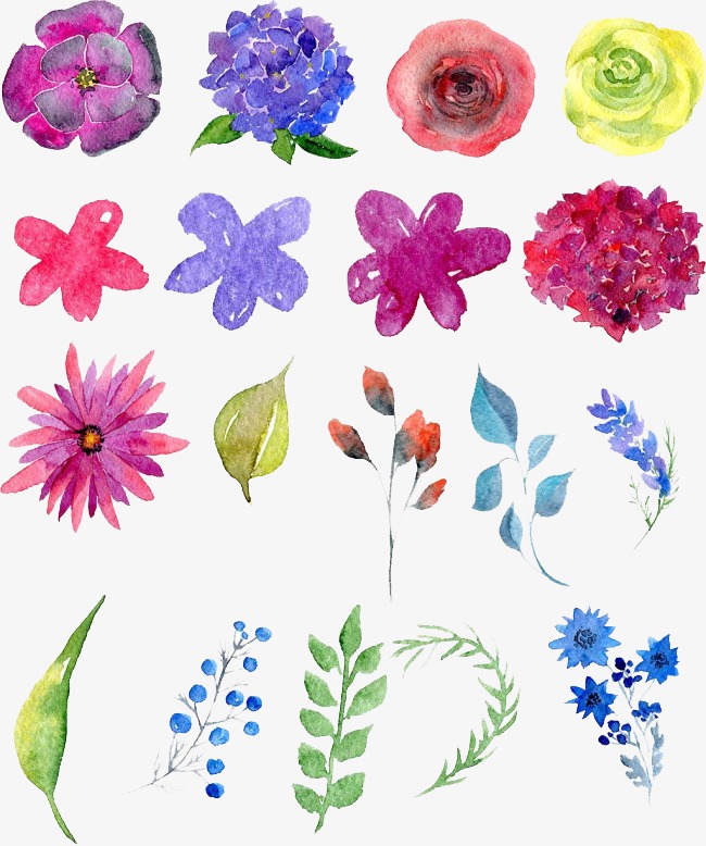 650x778 Watercolor Flowers, Watercolor Clipart, Drawing Plant Png Image