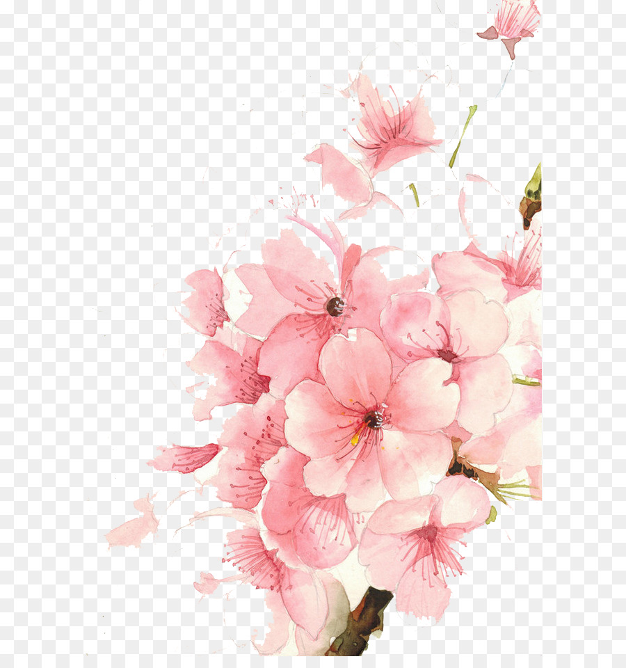 900x960 Watercolour Flowers Watercolor Painting Drawing