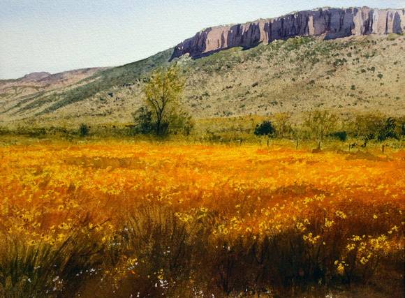 580x427 Robert Highsmith Western Landscapes Flower Field Watercolor