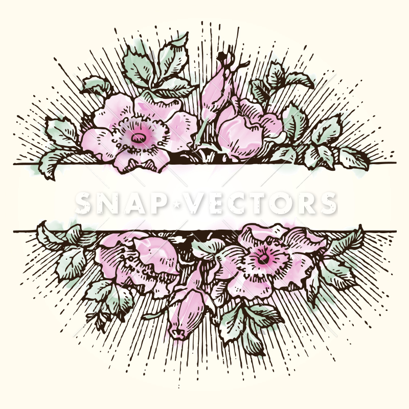 800x800 Vector Clipart Watercolor Flower Frame