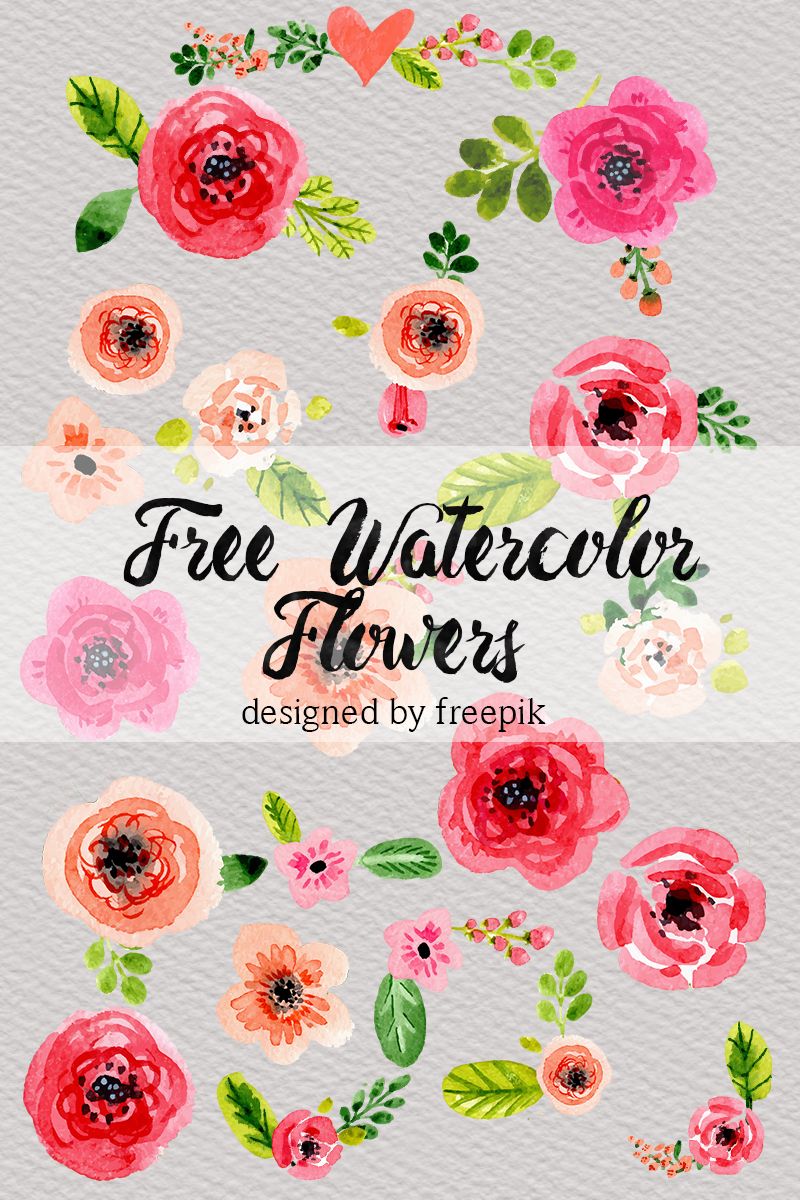 800x1200 Free Watercolor Flowers In 2018 Photoshop Clipart