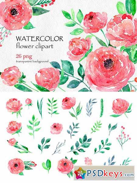 450x599 Watercolor Flower Peony, 26 In Set 557047 Free Download