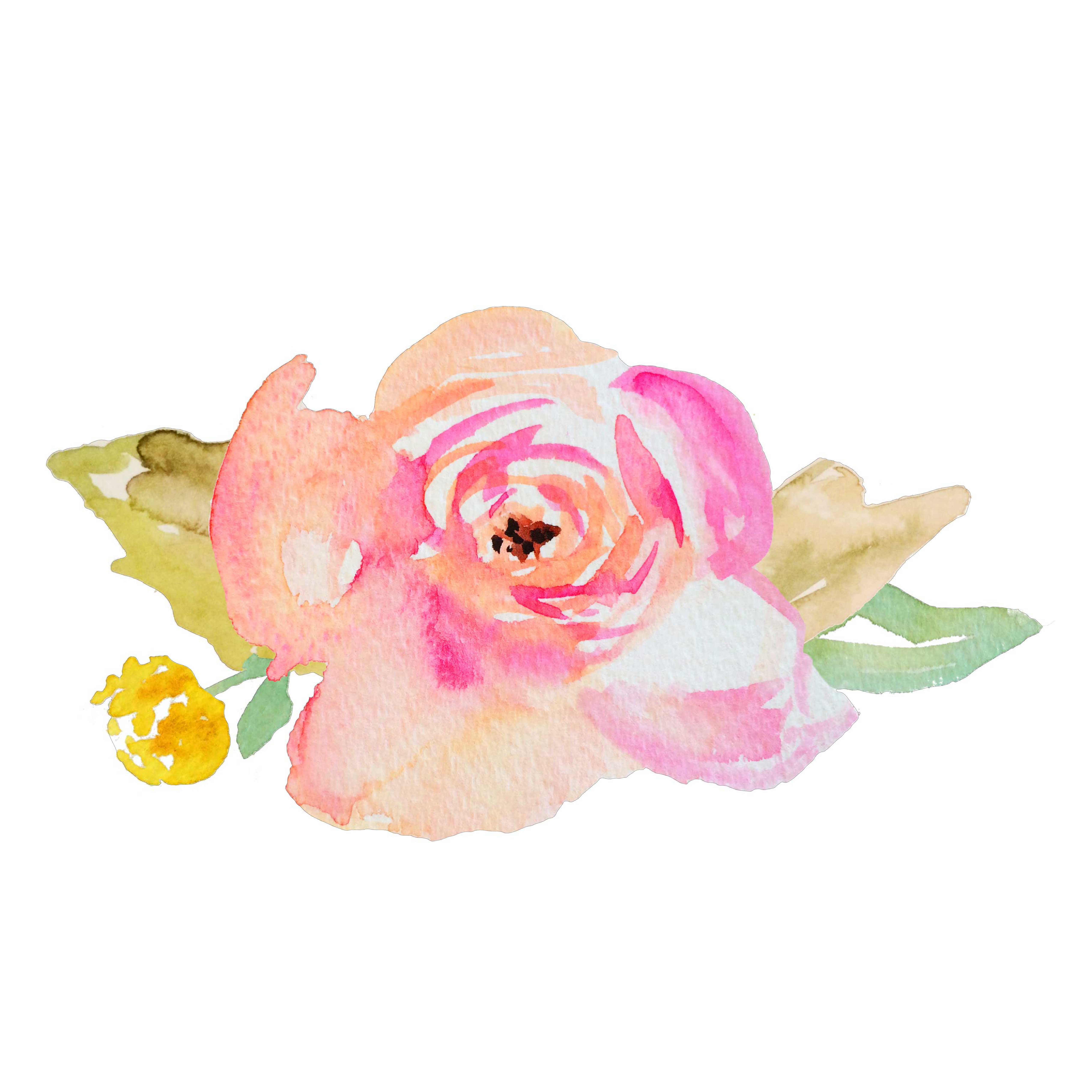 5100x5100 Watercolor Flower Svg Cut File Featuring Hand Painted Watercolor