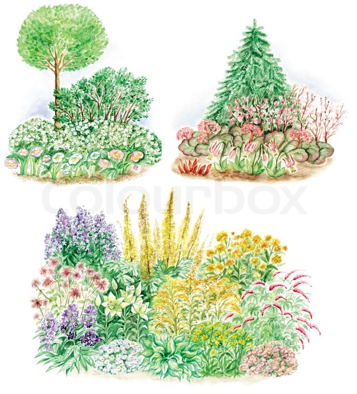 725x800 Watercolors Hand Painted Pictures Of Garden Design And Three Types