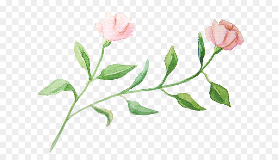 900x520 Watercolour Flowers Garden Roses Watercolor Painting