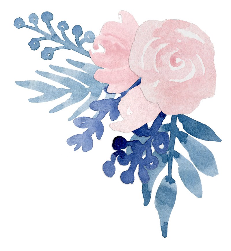 800x869 Watercolor Flower Navy Blue Blush Pink Floral Clip Art