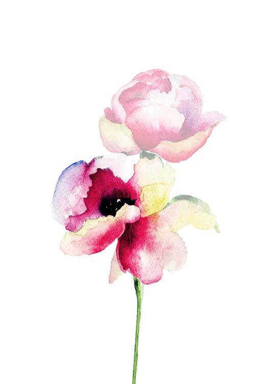 536x750 Watercolor Flower One Poster