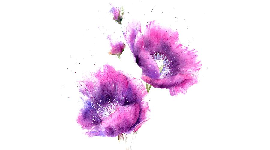 900x500 Purple Flower Painting Watercolor Flowers For Sale Chaincuttersunion