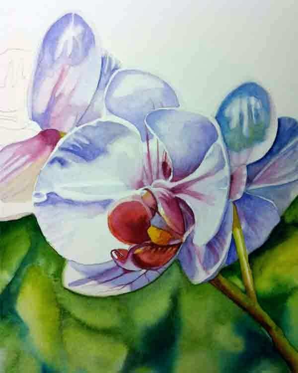 600x750 Tropical Flower Painting Paintings Sale Flowers Class 1 Orchids