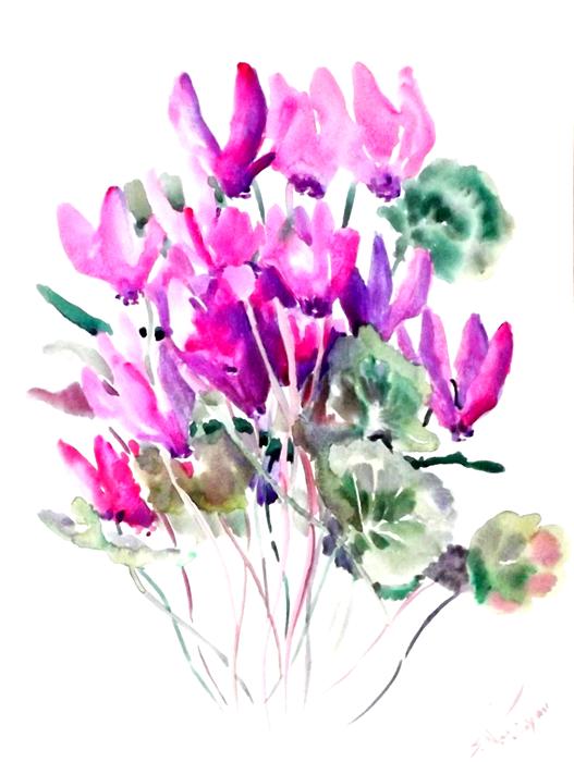 527x700 Cyclamens (Purple, Pink Flowers) Suren Nersisyan