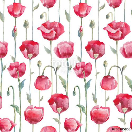 500x500 Red Poppies On White Background. Seamless Watercolor Floral