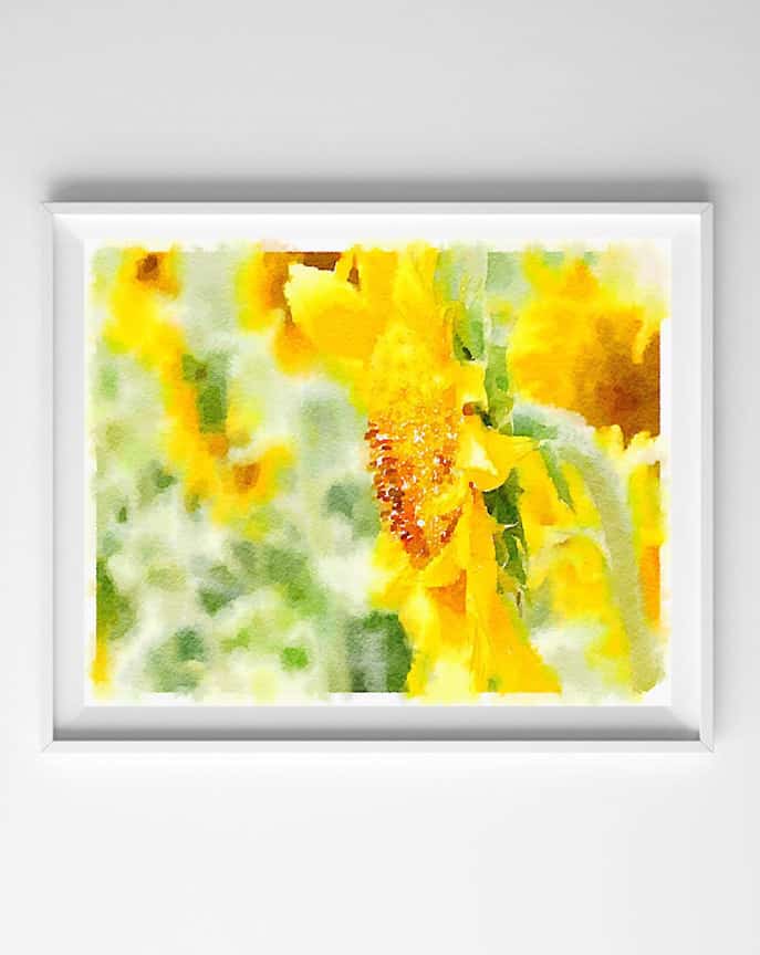 687x864 Watercolor Flowers Free Printables