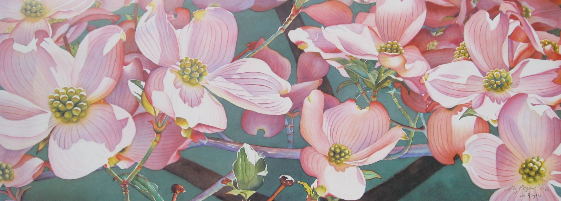 1853x664 Watercolor Flower Art