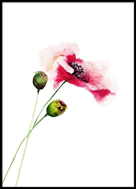 540x750 Watercolor Flower Two Poster