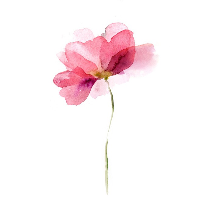 700x700 Watercolor Flower Poster We Live To Change