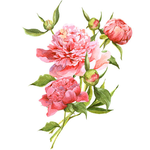 512x512 Watercolor Flower Bouquets Sticker Pack App Data Amp Review