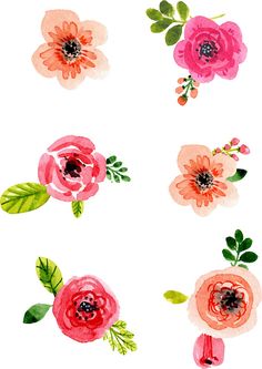 236x333 Watercolor Flower Sticker @redbubble Junkydotcom May 2016