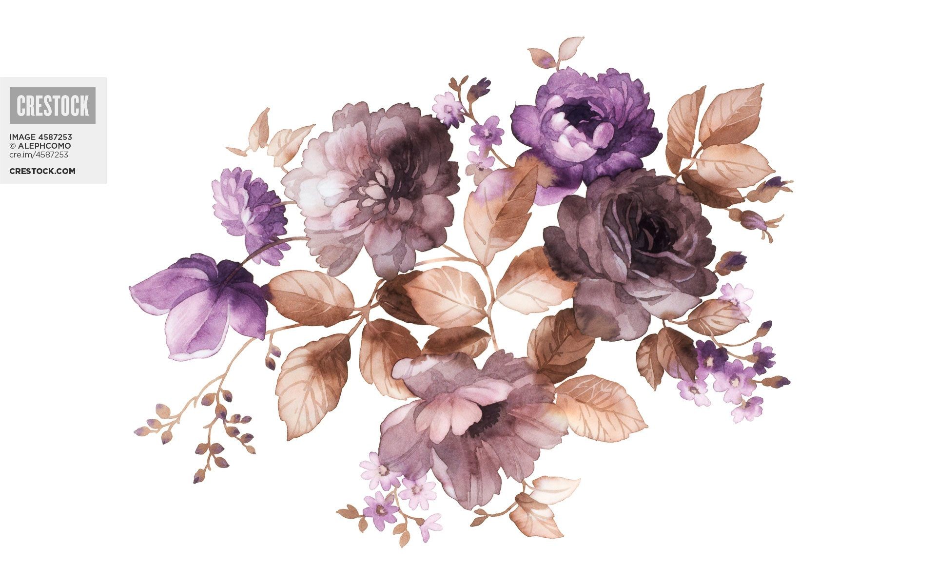 1920x1200 Watercolor Flowers Wallpaper Images)
