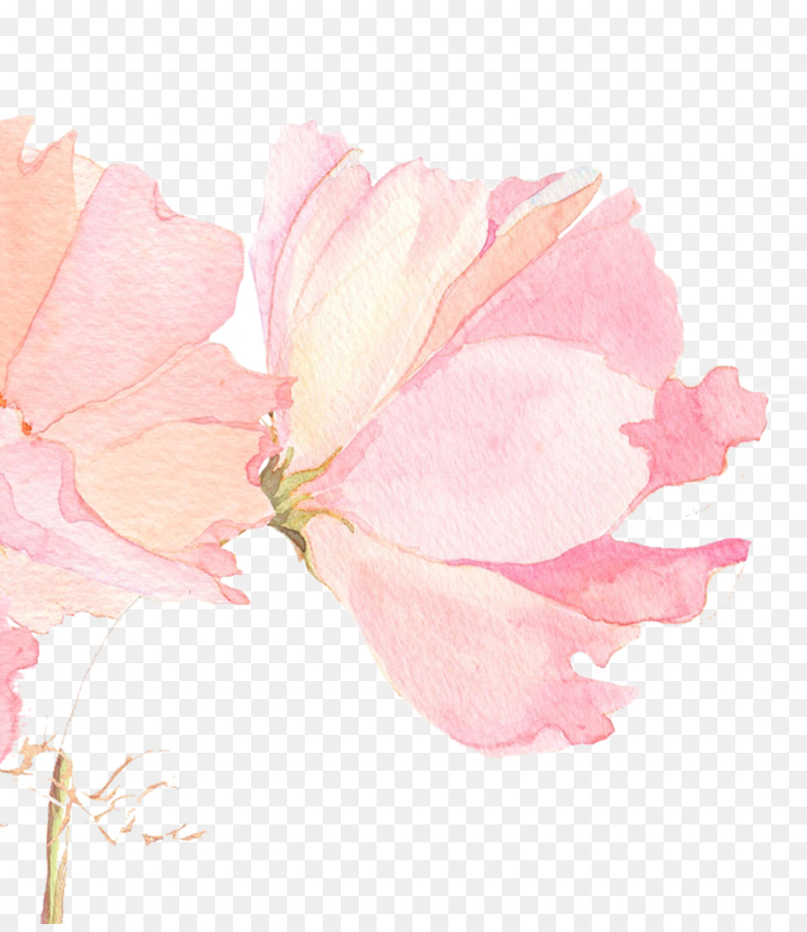 900x1040 Watercolour Flower Wallpaper Wallpapers)